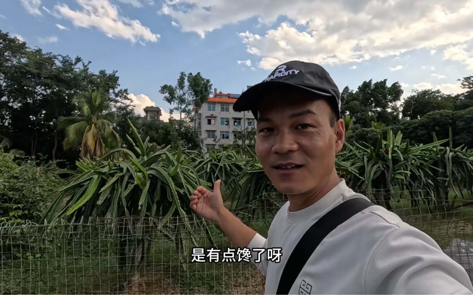 北方小伙第一次到西双版纳,在热带花卉园总算满足了好奇心