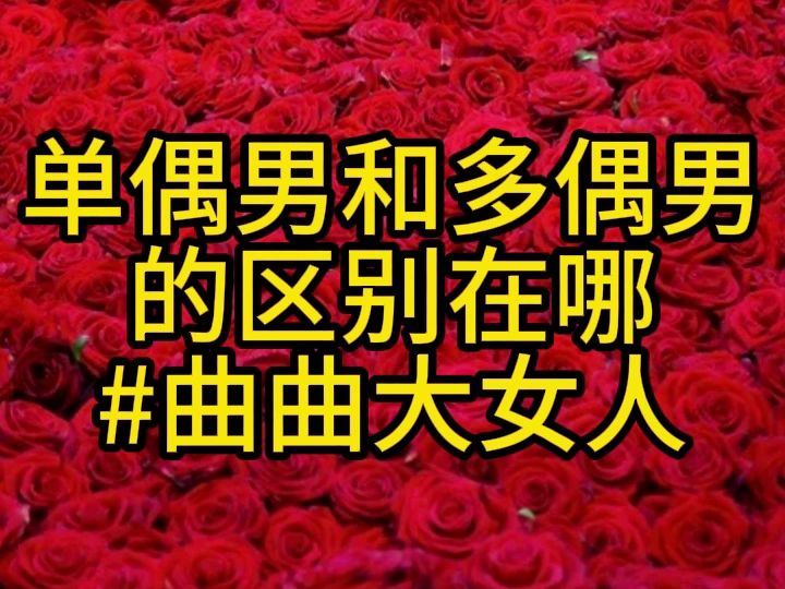 單偶男和多偶男的區別在哪#曲曲大女人