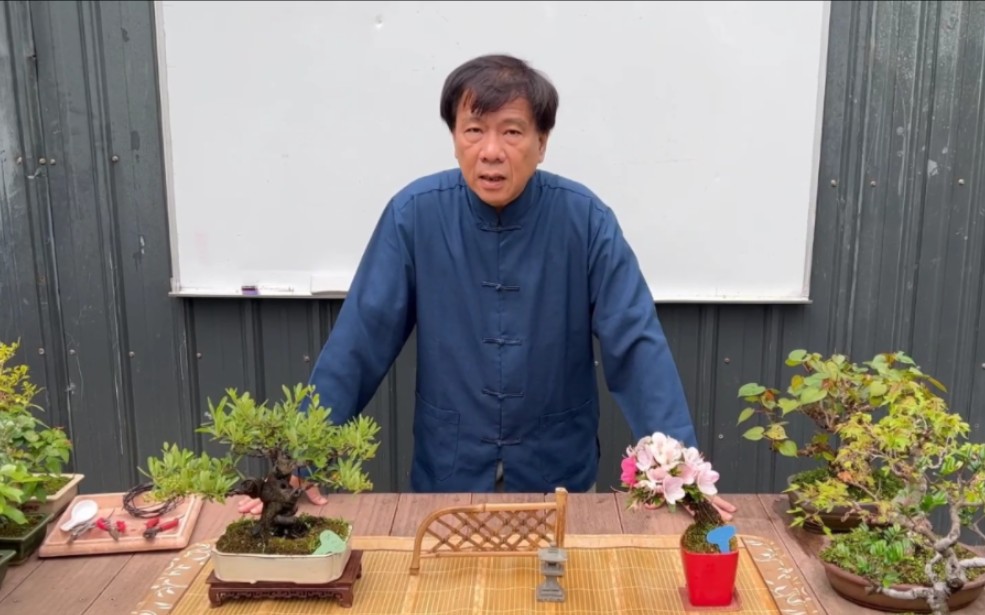 林庆祥讲解树型