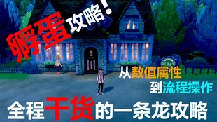 油库里解説 大器晩成 理解600族 精灵宝可梦usum 哔哩哔哩 つロ干杯 Bilibili