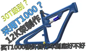 Download Video: 买T1000的碳纤维自行车好还是T700的好给骑行爱好者的解释