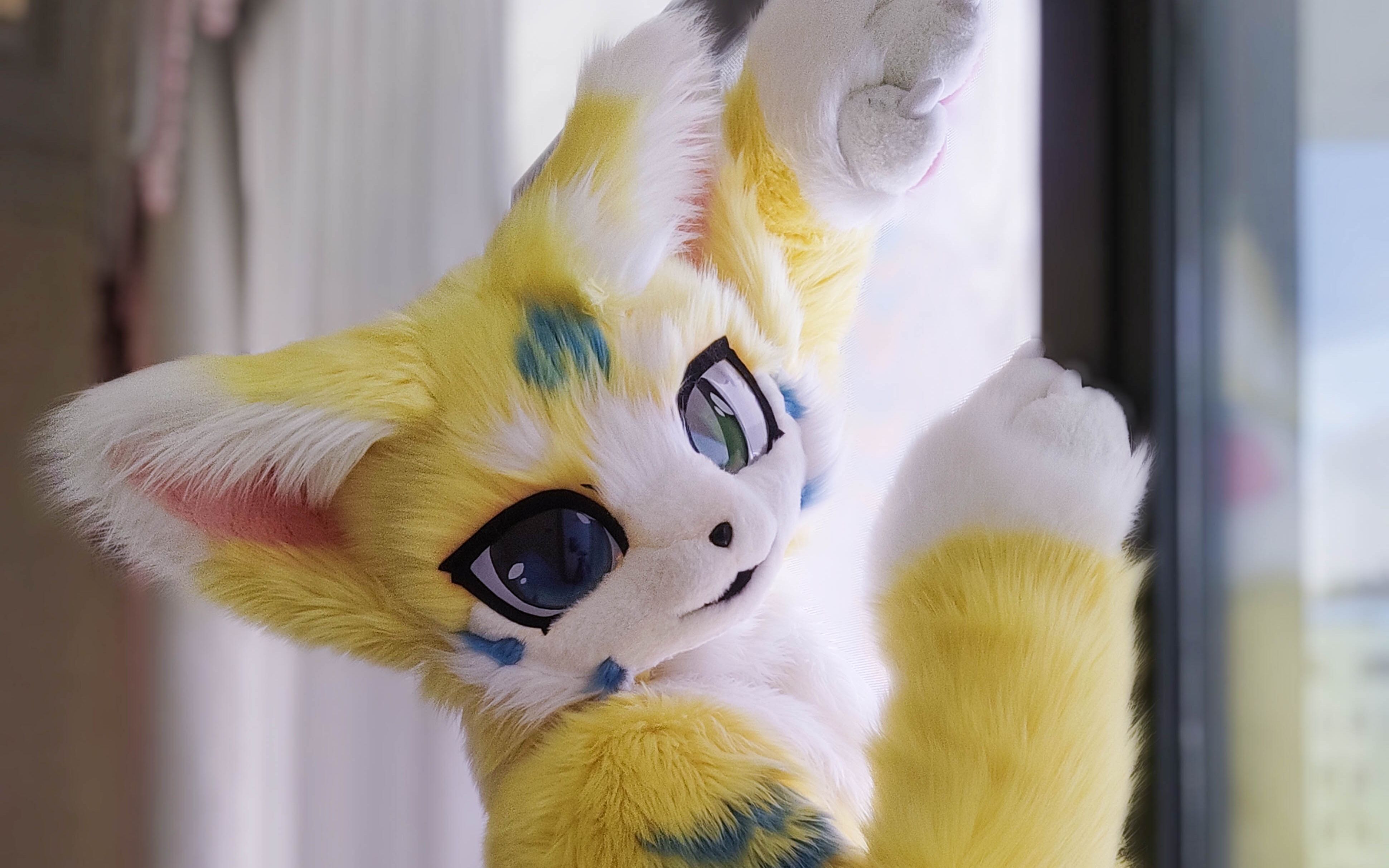 呜诺兽装日常万能的小姨妈鸟12章