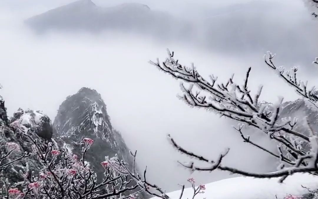 [图]黄山也下雪了