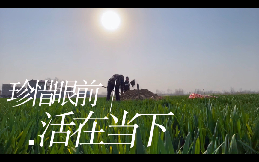 快清明了和老爸给爷爷奶奶上坟 珍惜眼前 活在当下