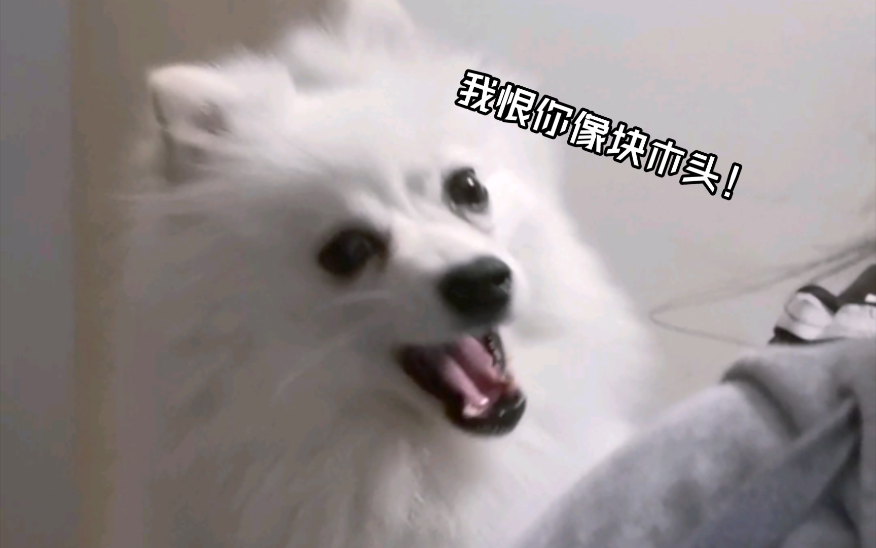 我恨你像块木头!
