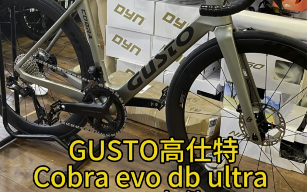 Gusto高仕特公路车Cobra evo db ultra哔哩哔哩bilibili