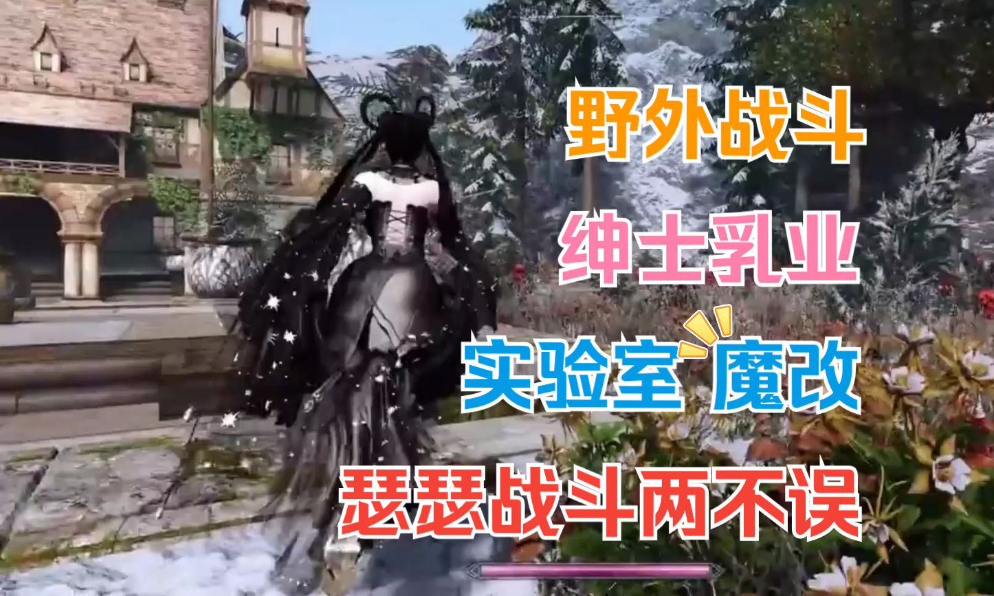 上古卷轴5绅士mod懒人包整合实验室完全版!24年全新整合,稳定不闪退