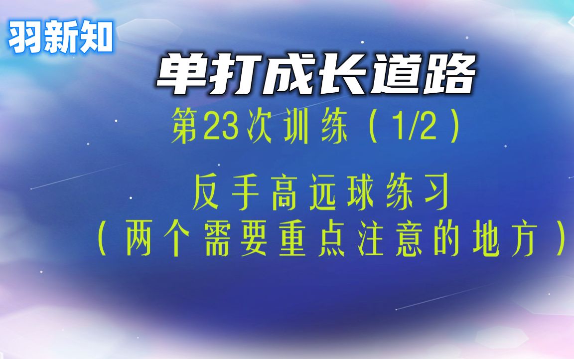 羽新知学员羽毛球单打成长道路:第23次训练(1/2)哔哩哔哩bilibili