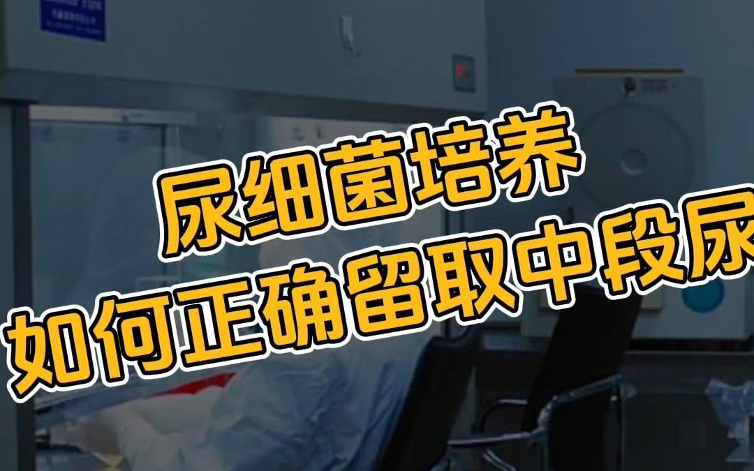 尿培养中段尿留取哔哩哔哩bilibili