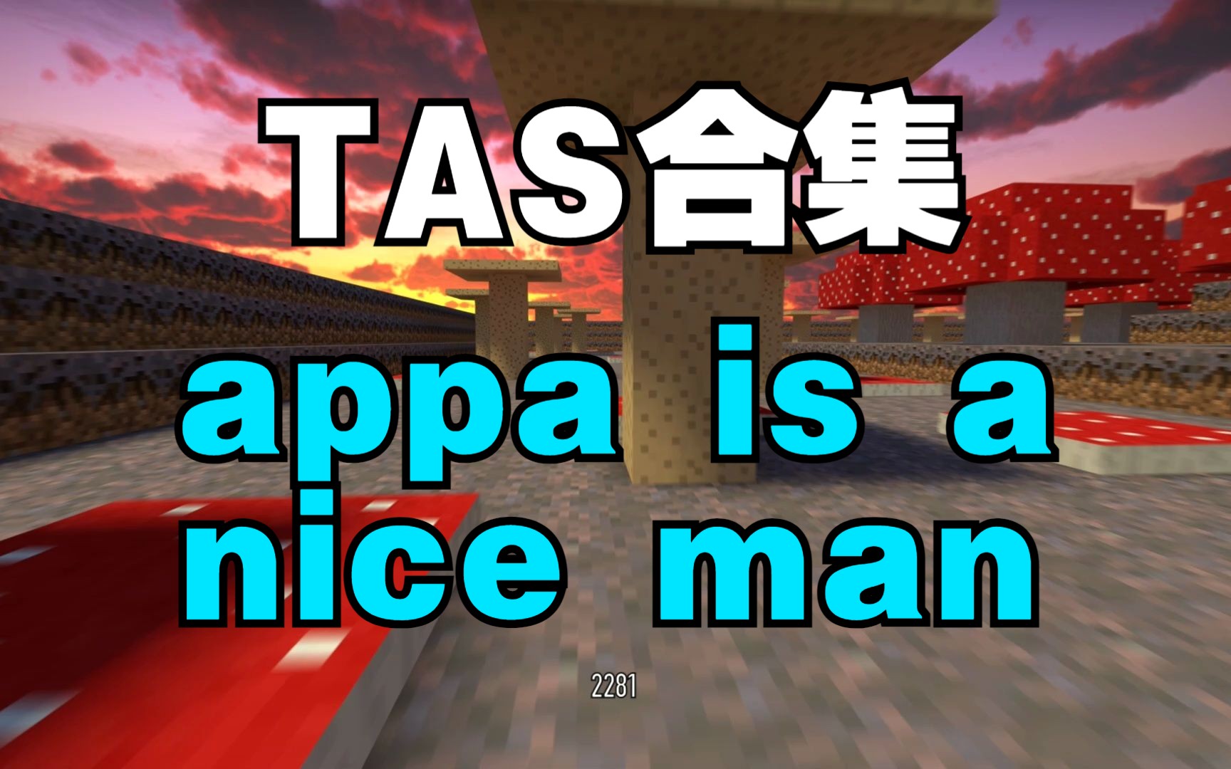 【TAS小合集】appa是个好人  bhopappaisaniceman compilation网络游戏热门视频