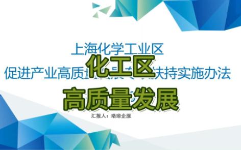 2024年上海化学工业区促进产业高质量发展专项扶持实施办法五哔哩哔哩bilibili