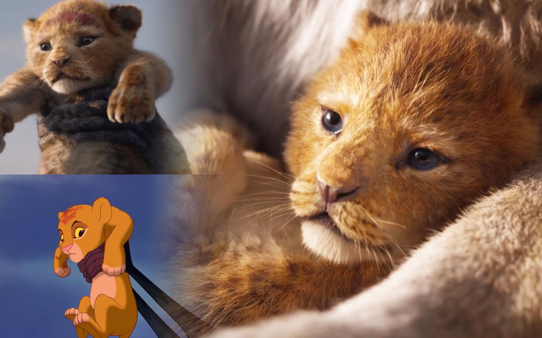 超萌狮子王小辛巴回归大银幕真人版狮子王首曝预告