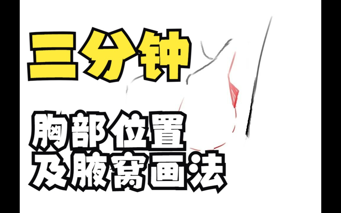 三分钟教你胸部位置与腋窝的关系!哔哩哔哩bilibili