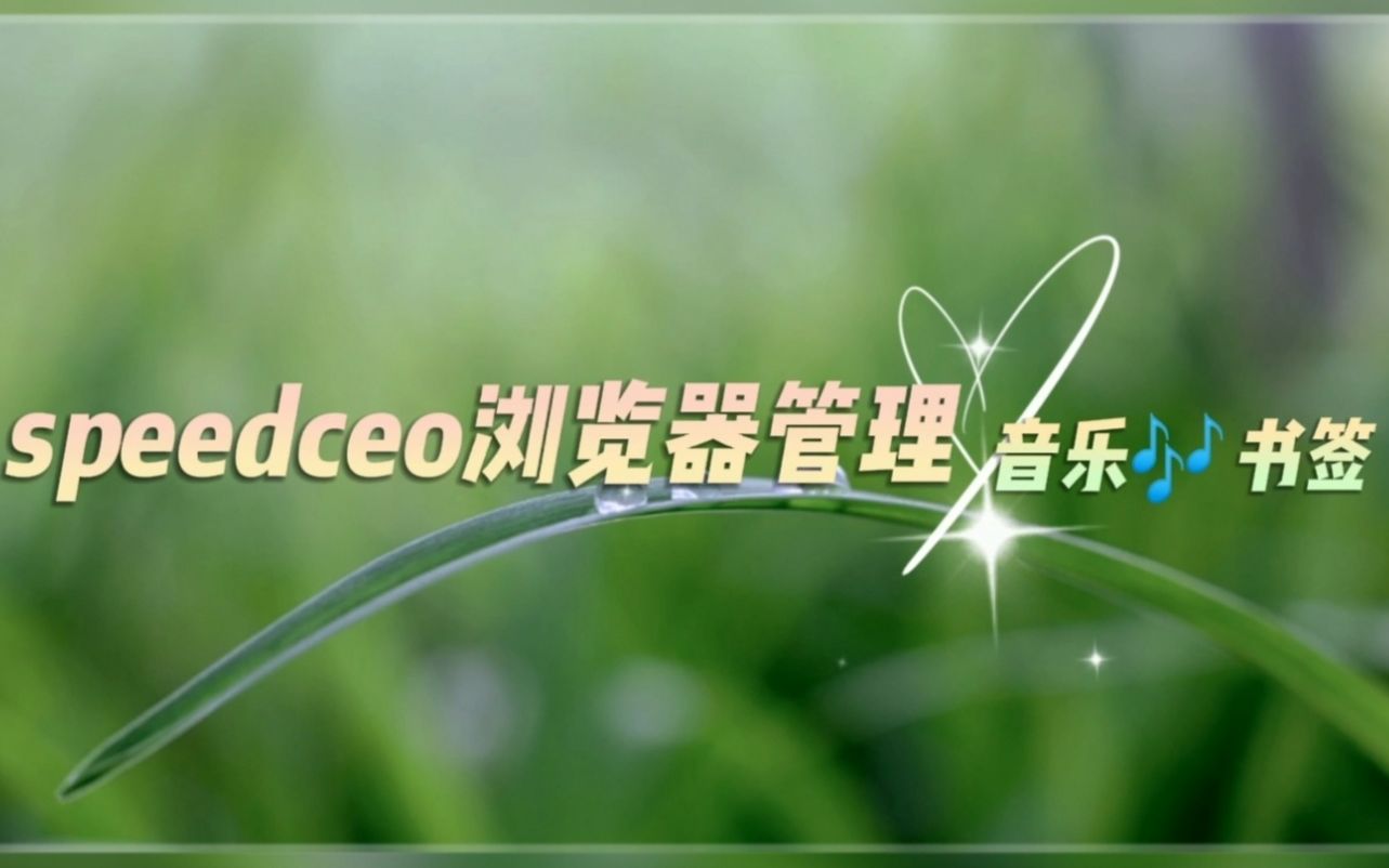 电脑speedceo浏览器管理收藏音乐网站书签分享哔哩哔哩bilibili