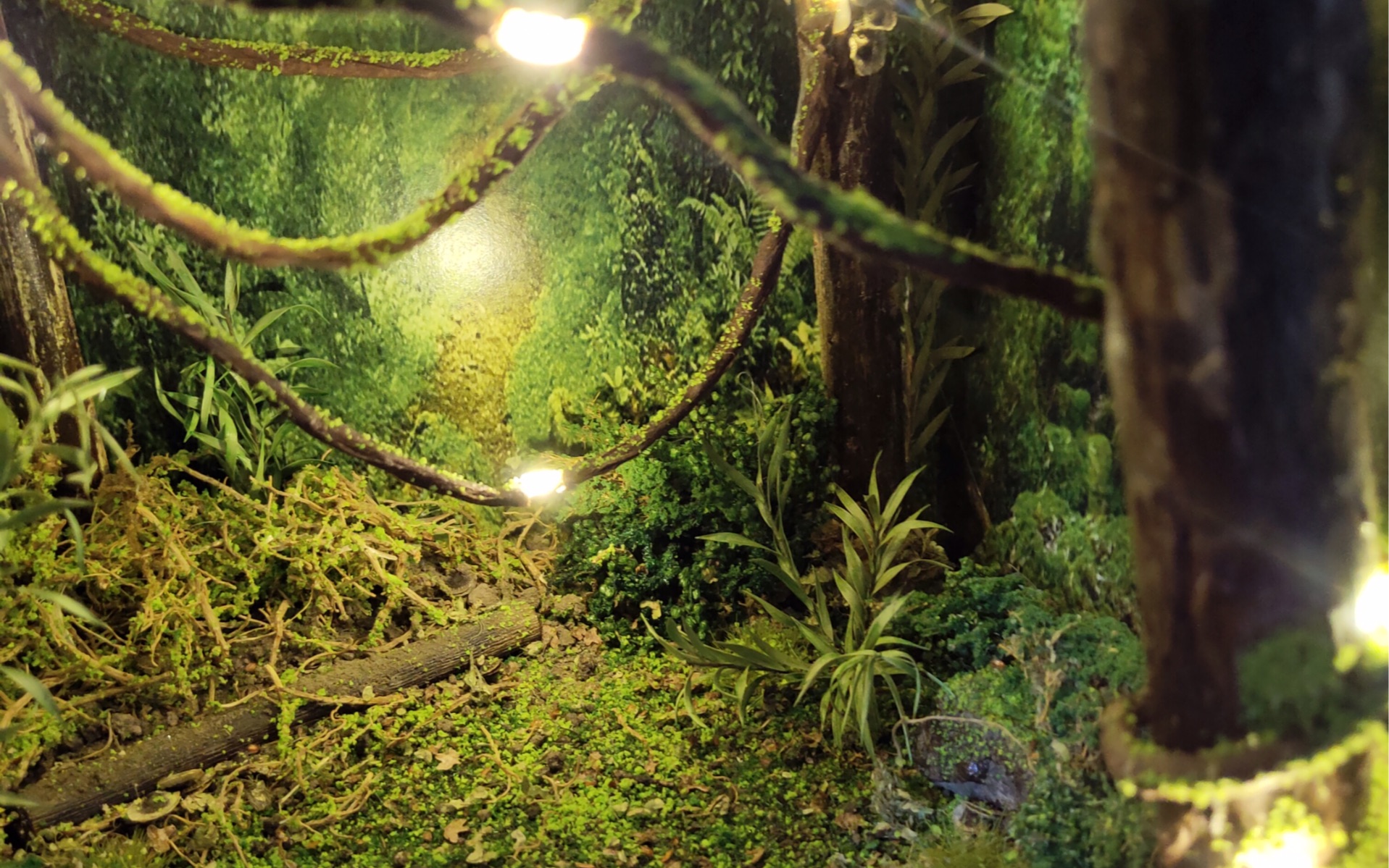 微缩景观光影森林