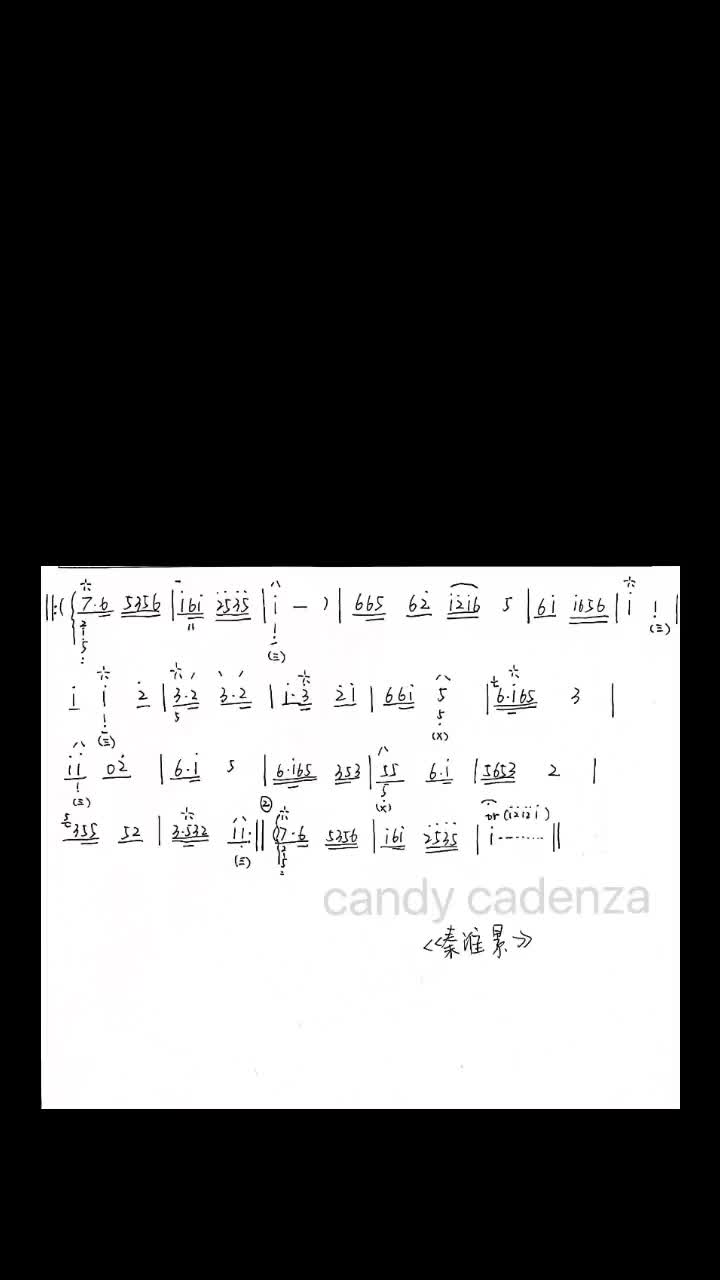 秦淮景 苏州评弹 琵琶