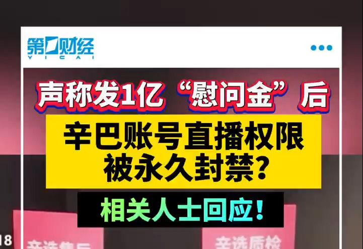 辛巴快手直播权限被永久封禁?相关人士回应哔哩哔哩bilibili