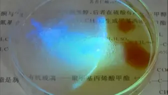 【鲁米诺实验】