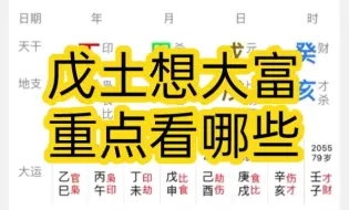 下载视频: 戊土想大富贵，重点看哪些？