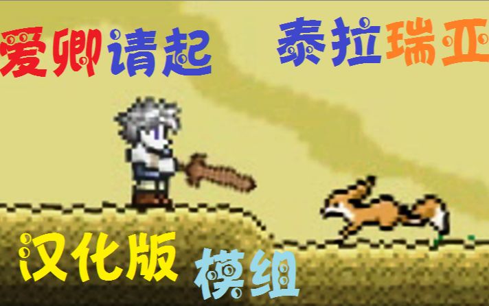 天铭 泰拉瑞亚 terraria 汉化版MOD哔哩哔哩bilibili