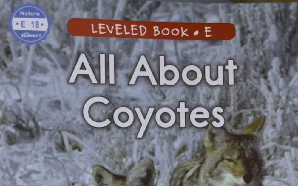 少儿英语RAZ分级阅读E 18 All About Coyotes 关于郊狼的所有哔哩哔哩bilibili