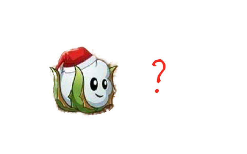 棉小雪为什么是描边大师