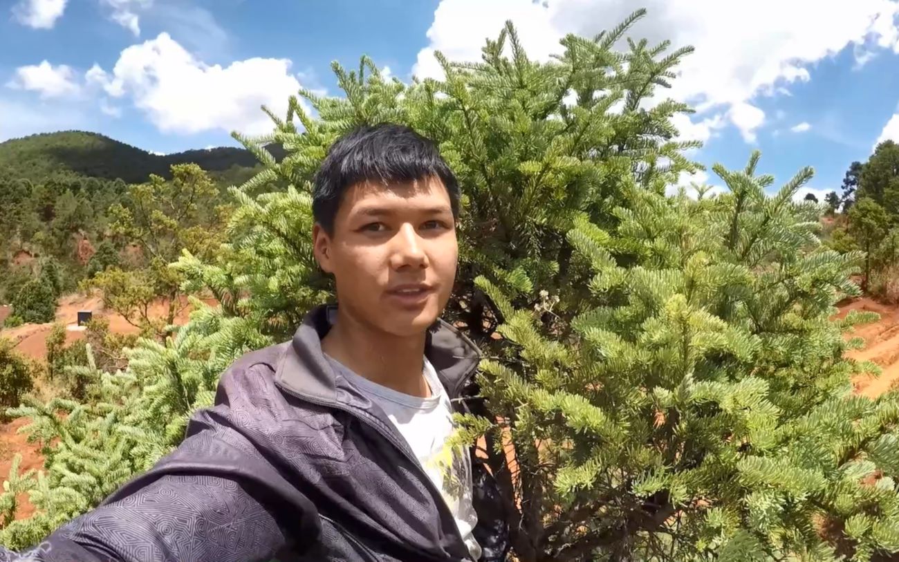 村野小高在路边发现两窝鸟第二窝鸟蛋非常多青蓝色的