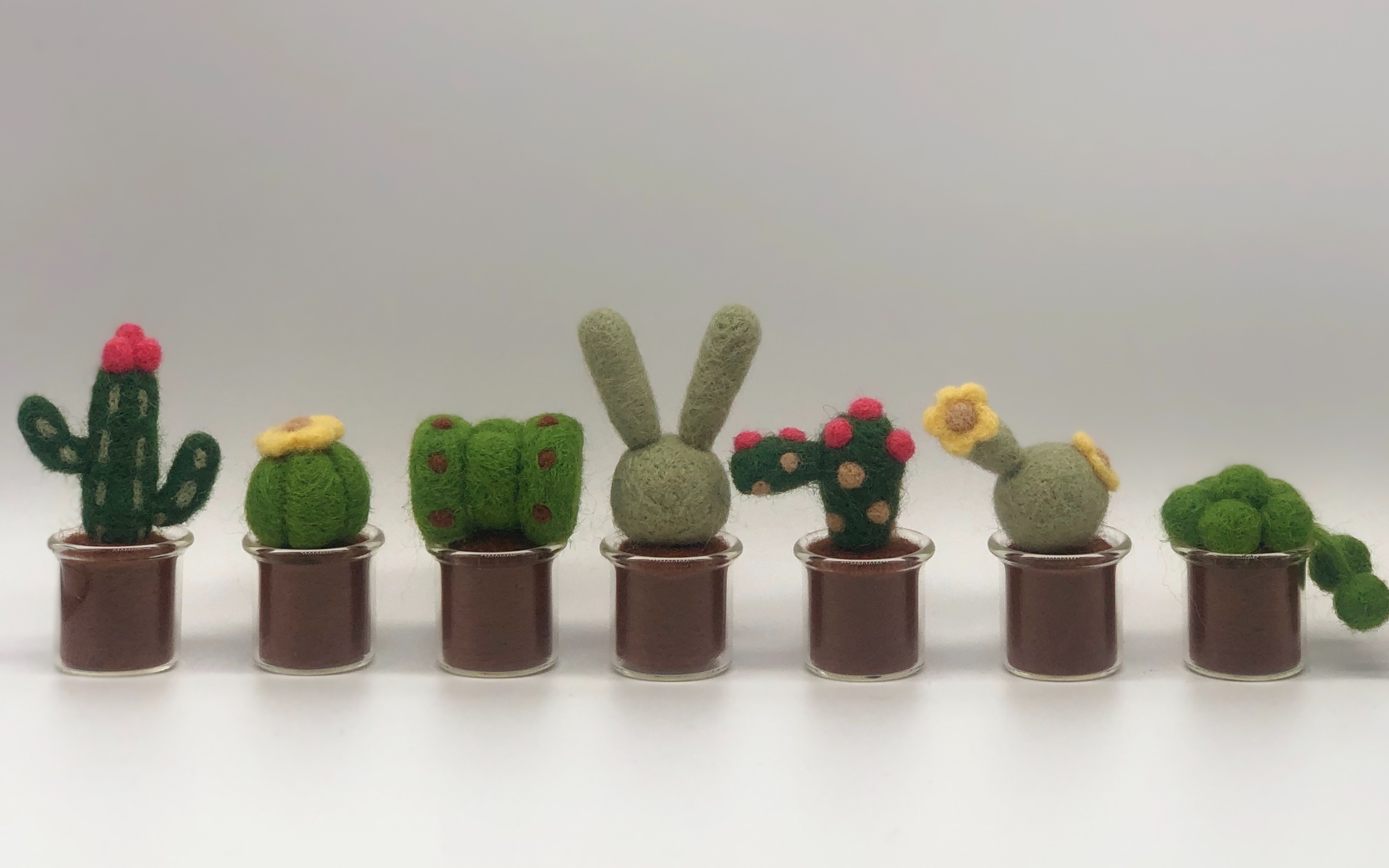【羊毛毡手作 治愈肉肉小盆栽】_哔哩哔哩 (゜-゜)つロ 干杯~-bili