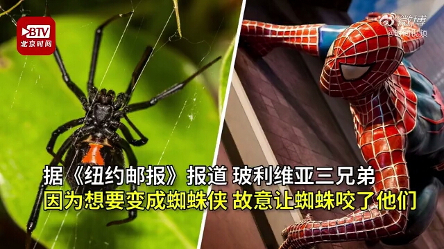 仨熊孩子想变成蜘蛛侠 故意让黑寡妇蜘蛛咬伤现重症