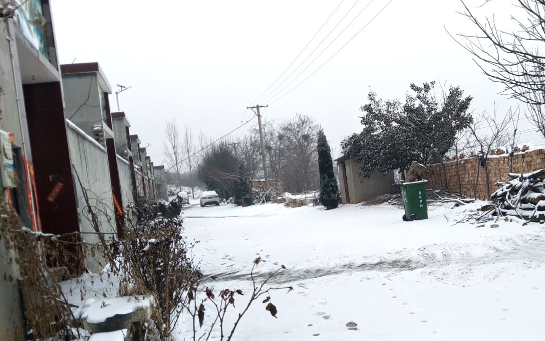 河南农村又下雪了,这估计2020年春的最后一场雪了