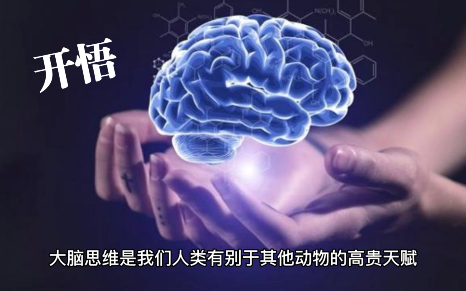 [图]开悟，我终于洞见了人类恐惧与痛苦的根源