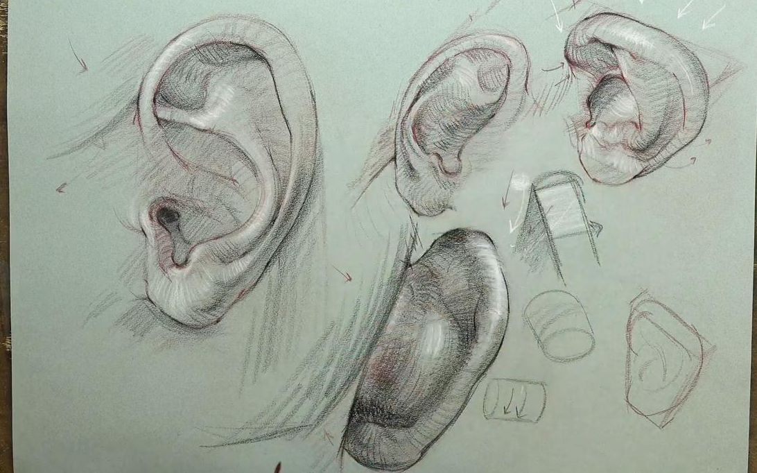 【素描】耳朵結構2anatomy for artists_ ear anatomy part 2