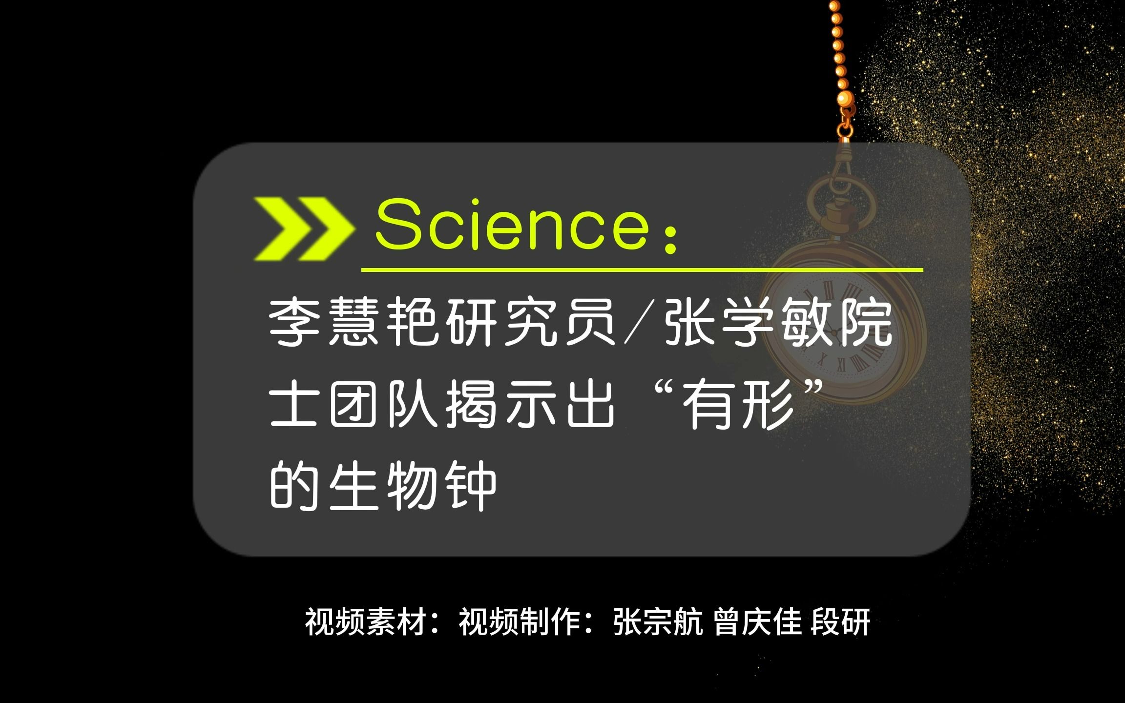 李慧艳研究员/张学敏院士团队揭示出“有形”的生物钟哔哩哔哩bilibili