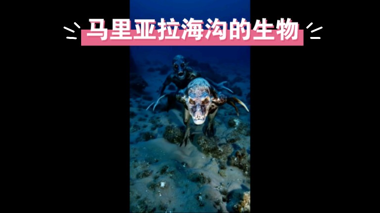 马里亚纳海沟 生物图片