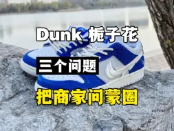 下载视频: 入手Dunk SB栀子花就得这么问！直接给商家问蒙圈！！！