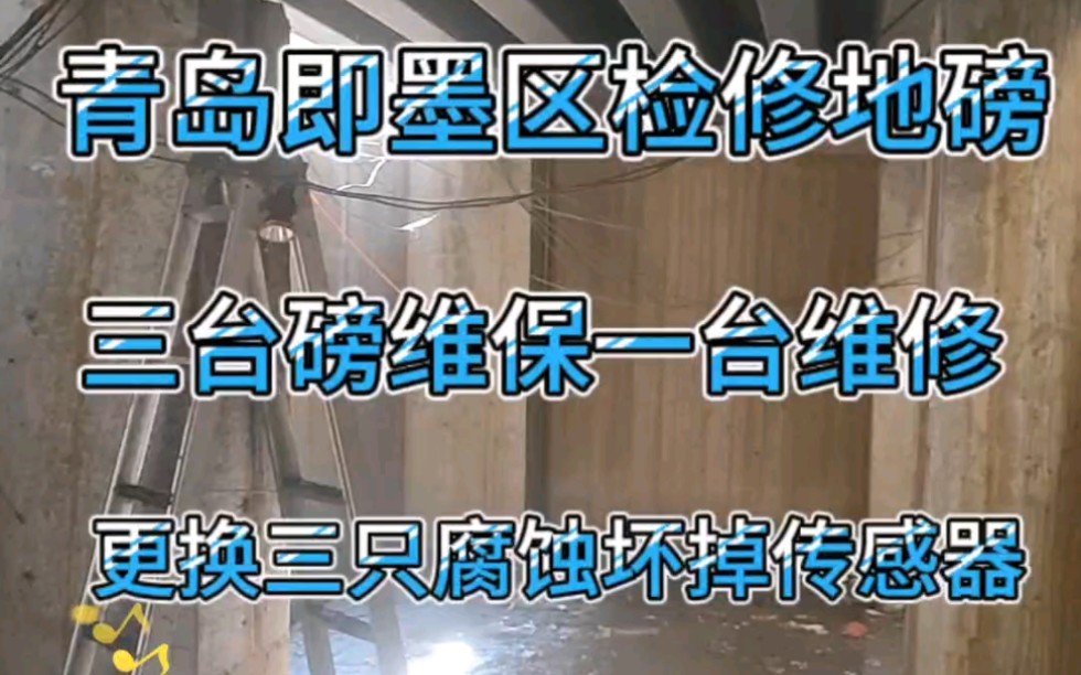 山东省青岛市即墨区大市场检修四台大磅,三台维保,一台维修,更换三只腐蚀损坏传感器,调校! #即墨修磅 #青岛修磅 #地磅传感器 #地磅衡器 #地磅维修...