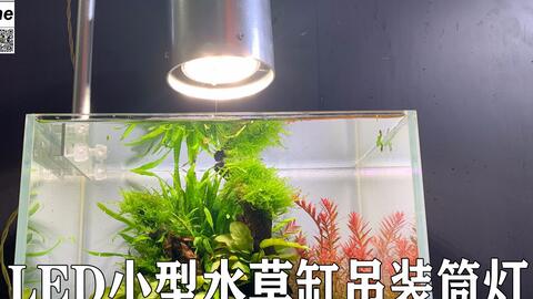 Diy Led小型水草缸吊装筒灯 哔哩哔哩 Bilibili