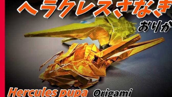 【虫房のカブクワおりがみ】长戟大兜虫折纸教程ヘラクレスさなぎおり