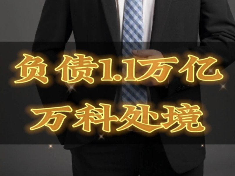 负债1.1亿的万科将何去何从!#沁湾铭园/#文庭雅苑@豪宅别墅@豪宅大平层@曲靖房产@核心资产@湖景现房@与学校为邻哔哩哔哩bilibili