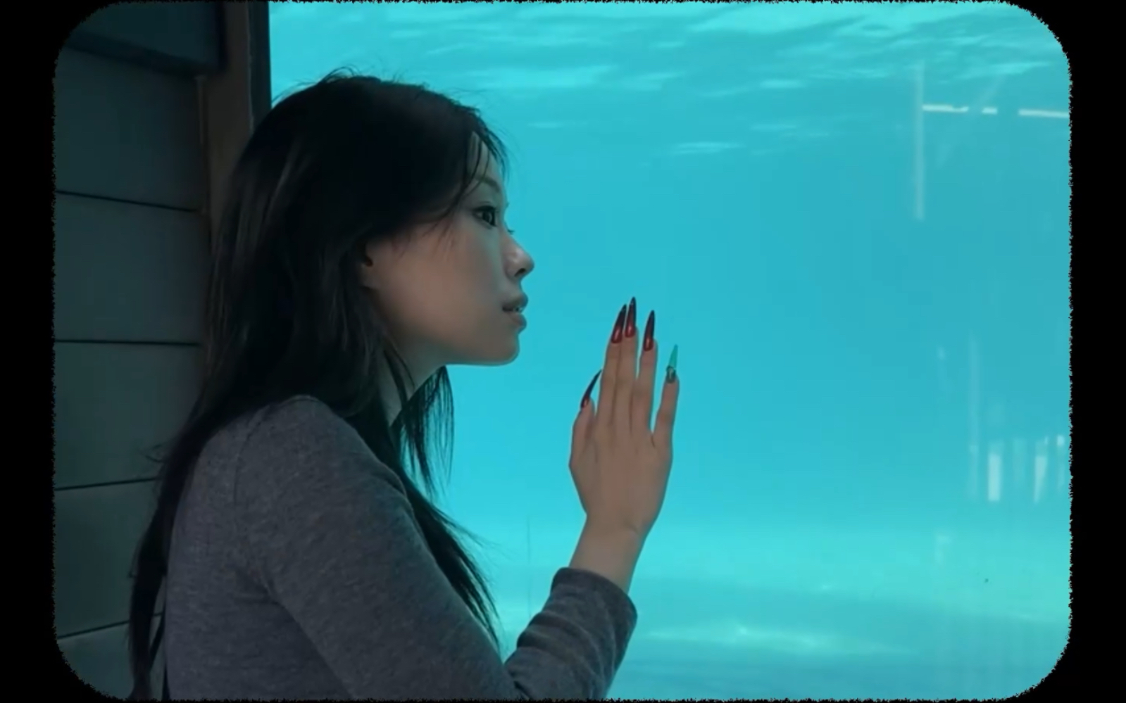 万妮达vinida的vlog