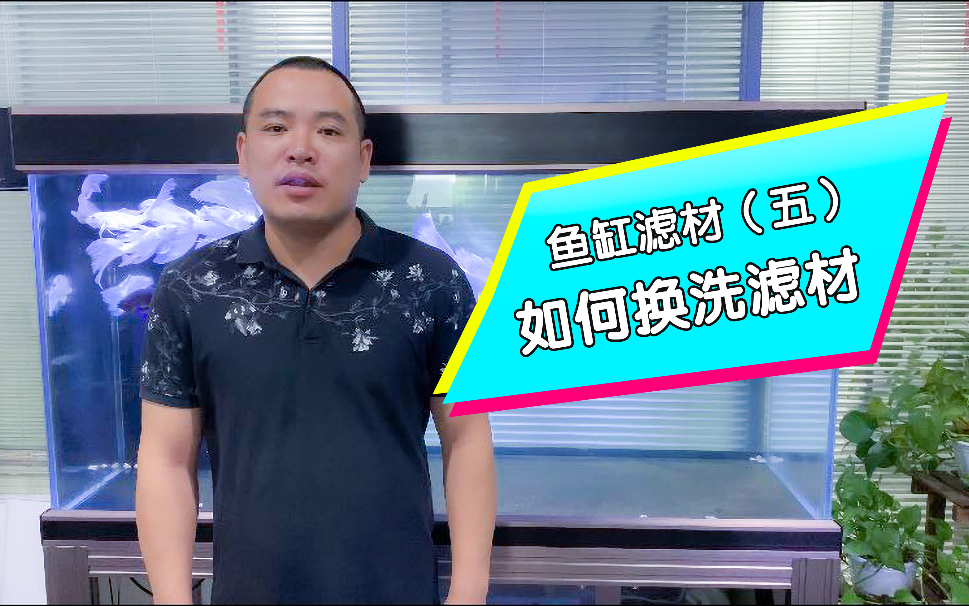 魚缸過濾濾材如何更換如何換洗養魚小日記diy觀賞魚魚缸過濾充電站