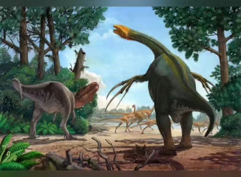 命运差不多,镰刀龙和棘龙,先是被人们误以为很强,后来一个只吃鱼,一个