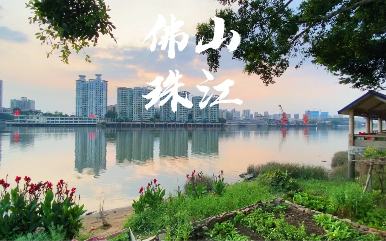 美丽的佛山,珠江边,夕阳西下_哔哩哔哩_bilibili