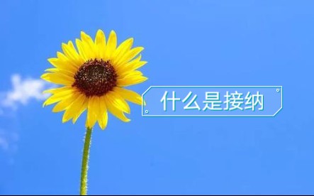 什么是接纳哔哩哔哩bilibili