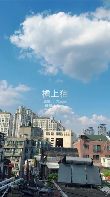 檐下雨 檐上猫92