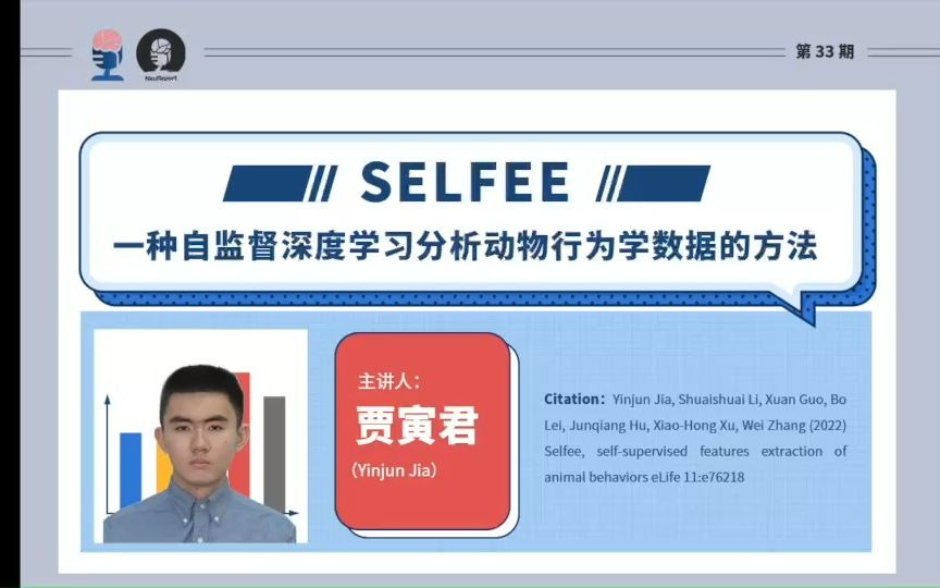 [图]Neureport 第33期 | Selfee：一种自监督深度学习分析动物行为学数据的方法