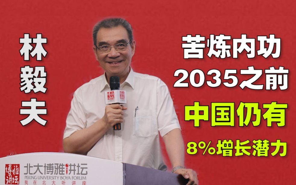 林毅夫:苦炼内功,2035之前,中国仍有8%增长潜力哔哩哔哩bilibili