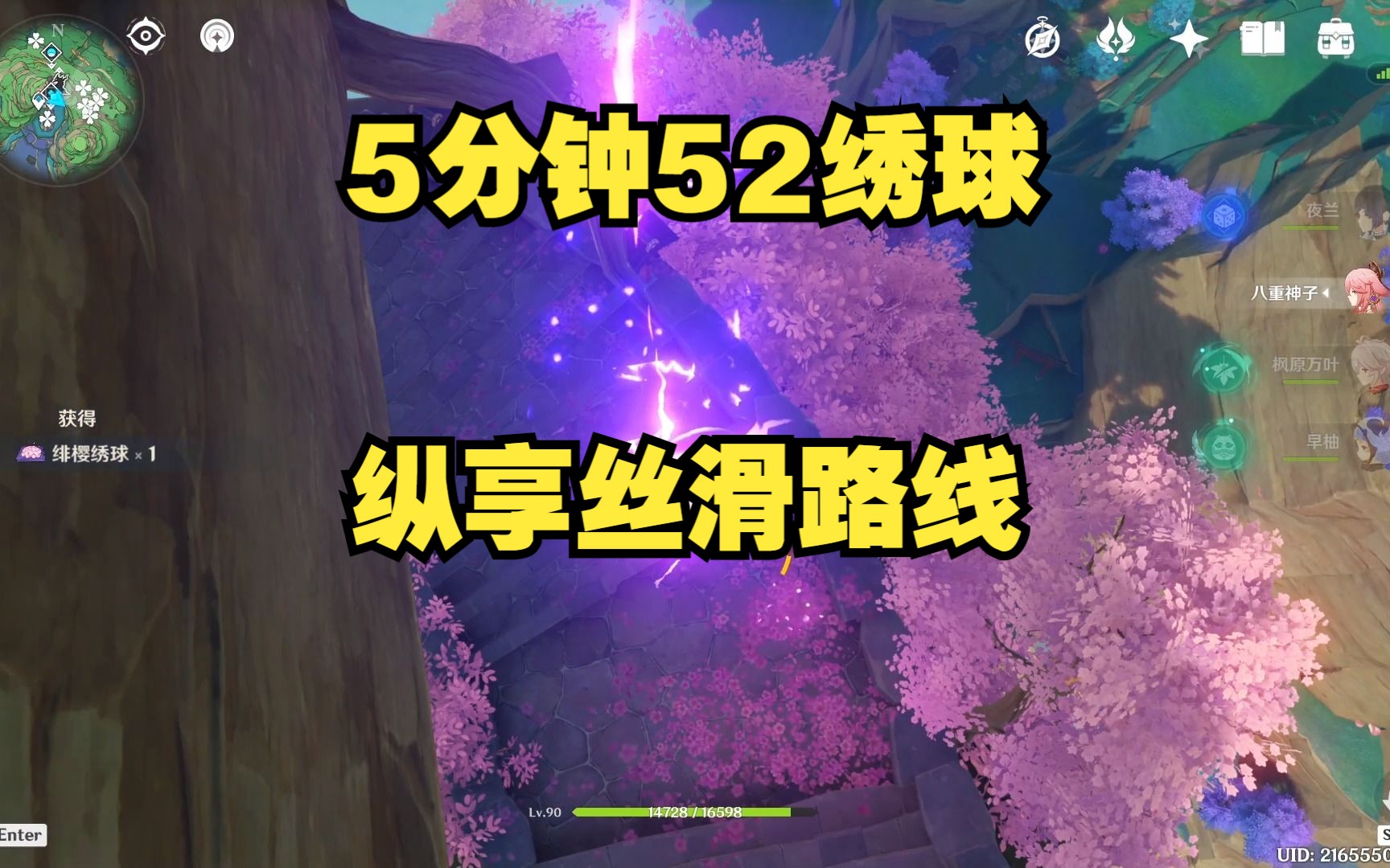 【稚柳苏晴】5分钟52绯樱绣球采集路线视频