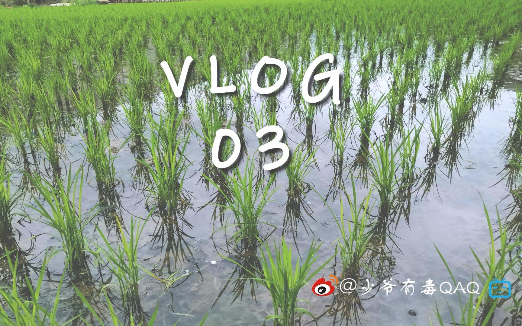 【少爷VLOG03】土地平旷,屋舍俨然,有良田美池桑竹之属哔哩哔哩bilibili