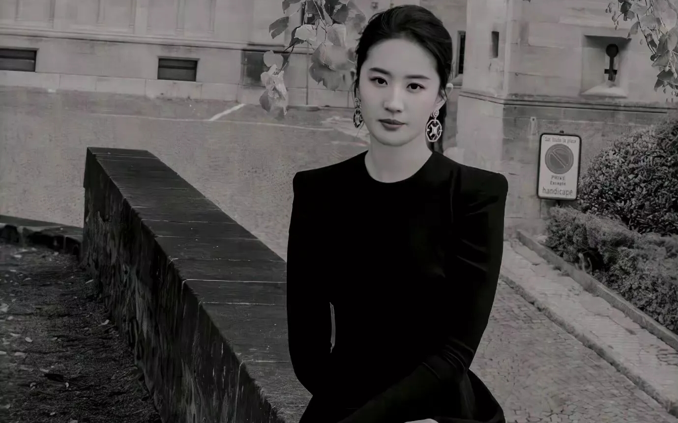 刘亦菲大片:黑与白8